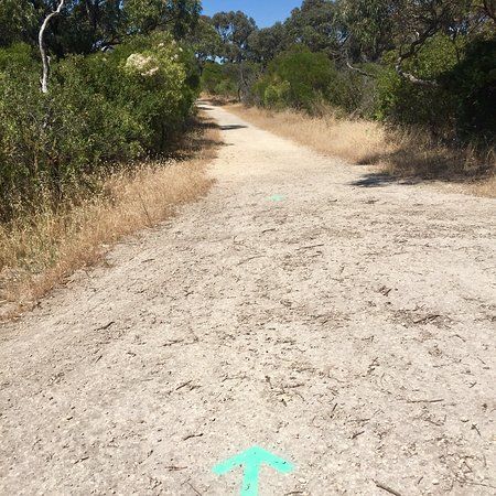 Trigg Bushland Reserve